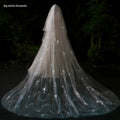 Bride Wedding Long Big Tailing Veil