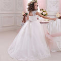 Flower Girl Dress for Wedding or Communion See Through Beaded Puffy