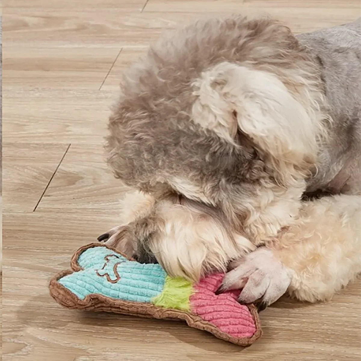 Dog Squeaky Toy - Plush Bone Chew Toy for Small & Medium Puppies