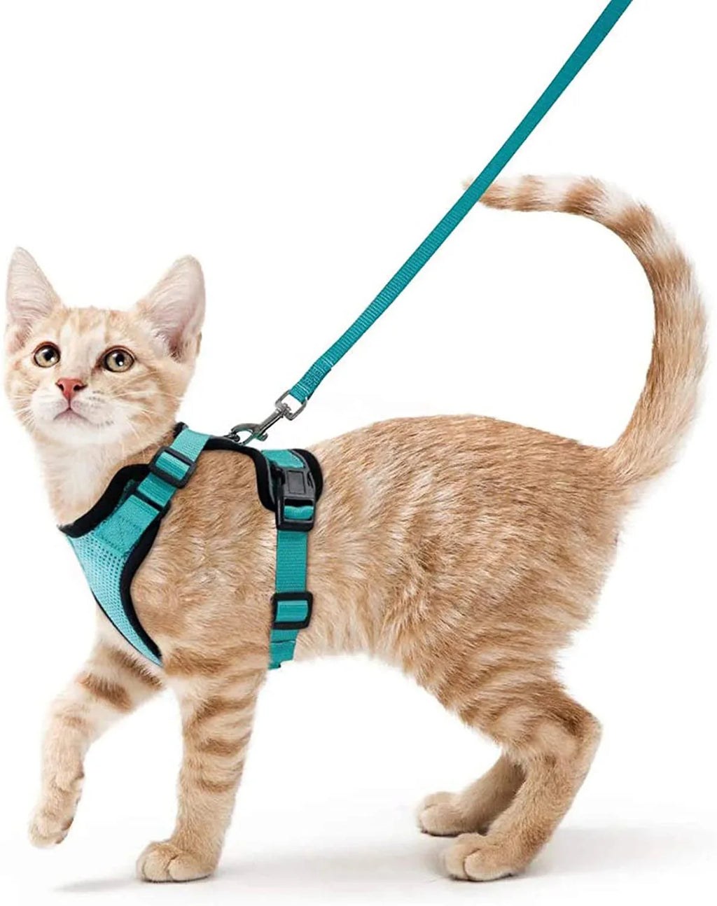 Cat Harness and Leash – Soft Adjustable Escape-Proof Vest for Walking Cats