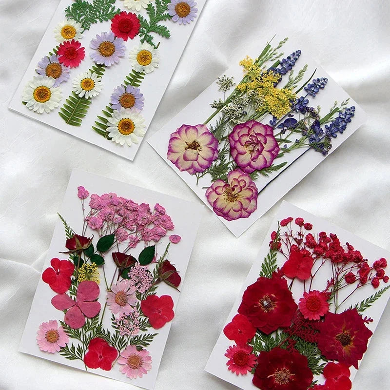 For Fun DIY Embossed Dried Flower Resin Fillings Real Flower for Home Decoration Nail Art Handicrafts Jewelry Making Crafts