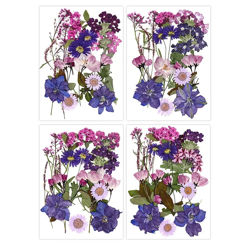 For Fun DIY Embossed Dried Flower Resin Fillings Real Flower for Home Decoration Nail Art Handicrafts Jewelry Making Crafts