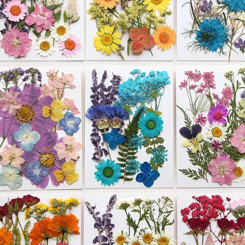 For Fun DIY Embossed Dried Flower Resin Fillings Real Flower for Home Decoration Nail Art Handicrafts Jewelry Making Crafts