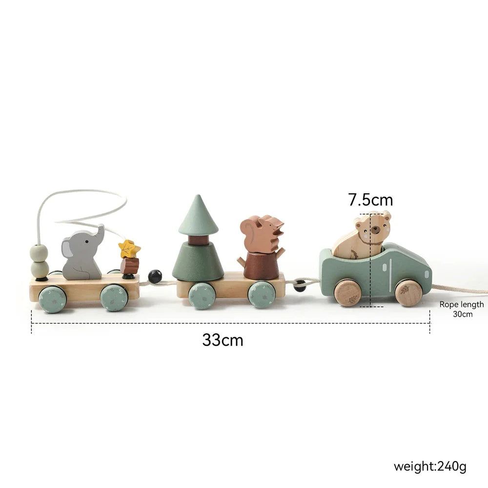 Wooden Train Birthday Toy Montessori Baby Learning