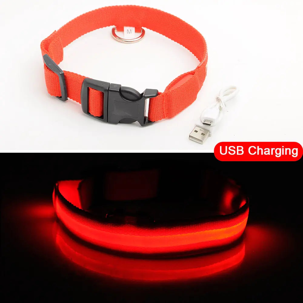 LED Dog Collar - Anti-Lost Rechargeable Safety Light-Up Collar for Night Walks