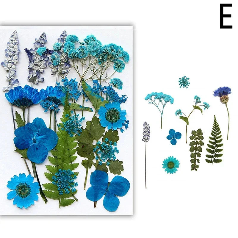 For Fun DIY Embossed Dried Flower Resin Fillings Real Flower for Home Decoration Nail Art Handicrafts Jewelry Making Crafts