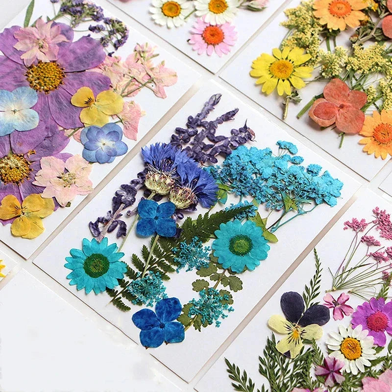 For Fun DIY Embossed Dried Flower Resin Fillings Real Flower for Home Decoration Nail Art Handicrafts Jewelry Making Crafts