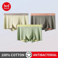 3Pcs 100% Cotton Silk Crotch Men's Antibacterial Boxers