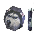 Anti-UV Painting Umbrella