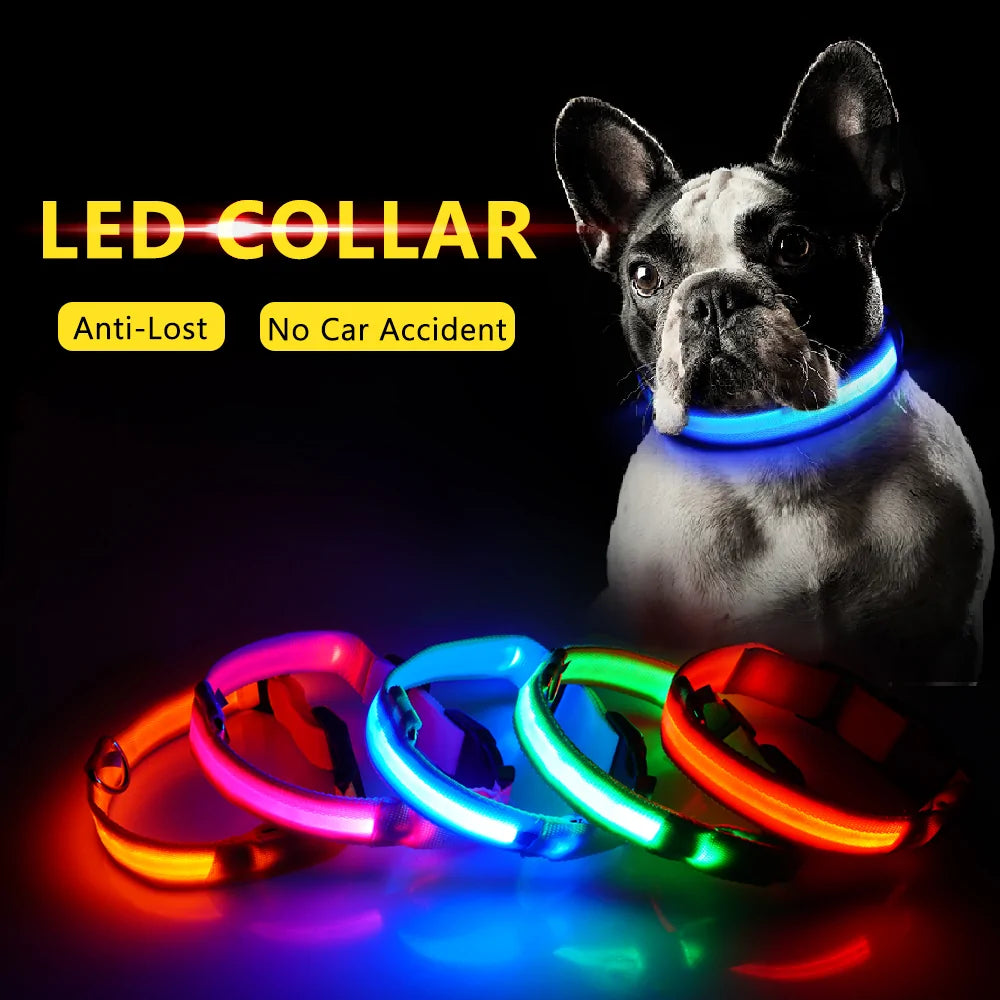 LED Dog Collar - Anti-Lost Rechargeable Safety Light-Up Collar for Night Walks