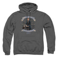 Fantastic Beasts Newt Scamander Mens Hoodie Charcoal Officially Licensed