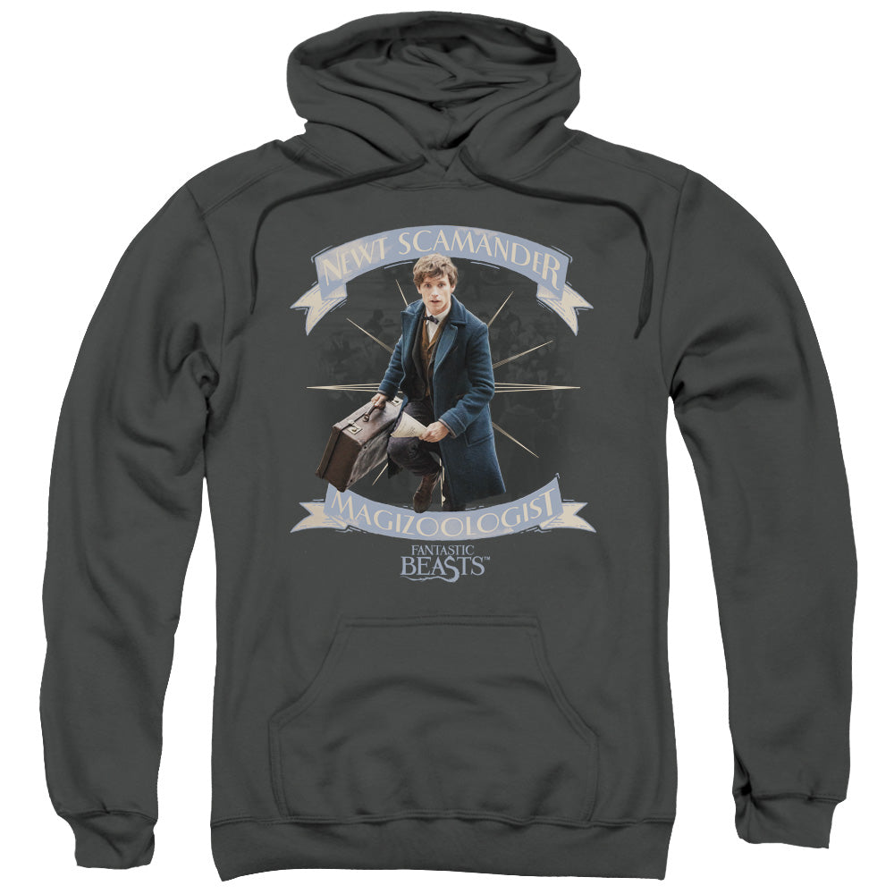 Fantastic Beasts Newt Scamander Mens Hoodie Charcoal Officially Licensed