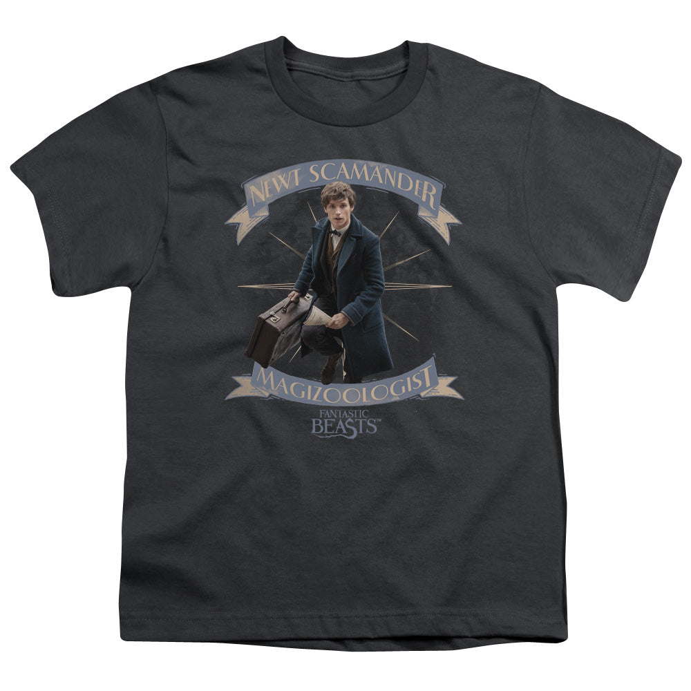 Fantastic Beasts Newt Scamander Kids Youth T Shirt Charcoal Officially Licensed