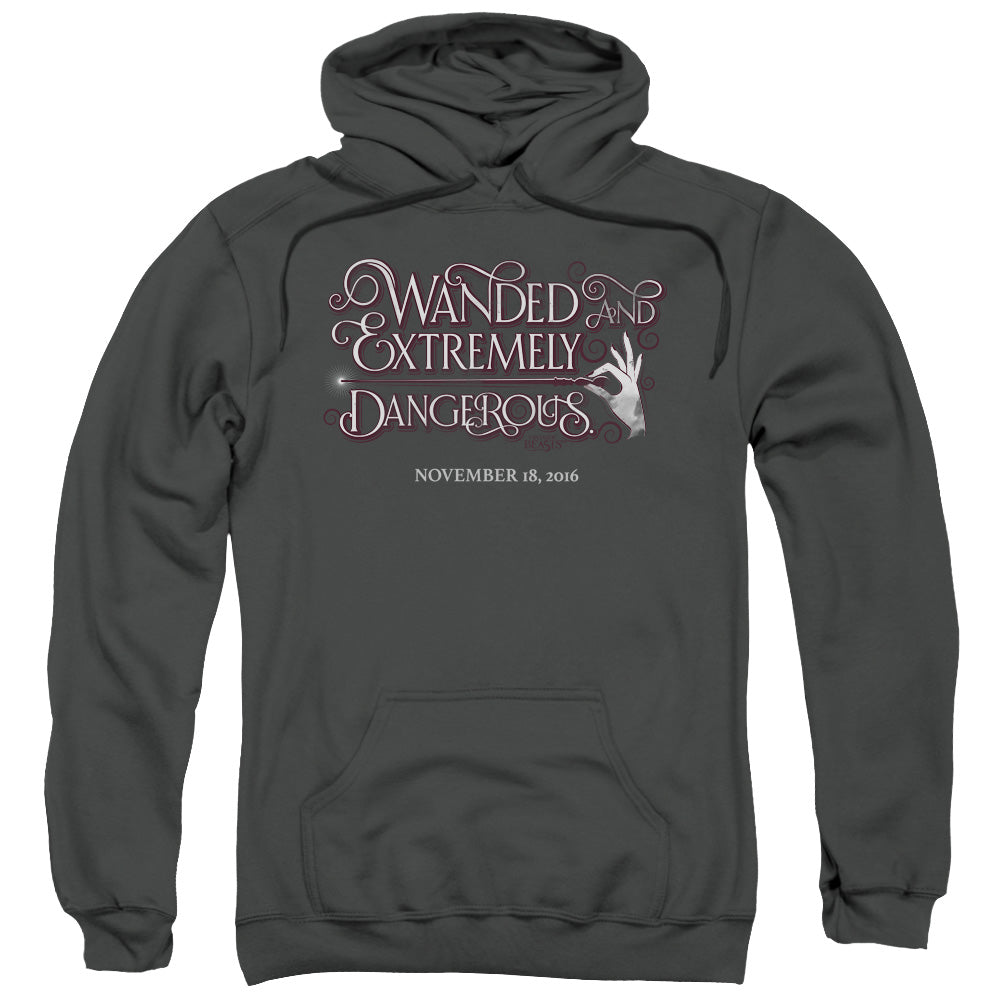 Fantastic Beasts Wanded Mens Hoodie Charcoal Officially Licensed
