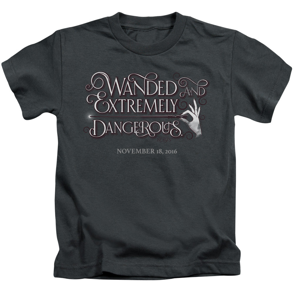 Fantastic Beasts Wanded Juvenile Kids Youth T Shirt Charcoal Officially Licensed
