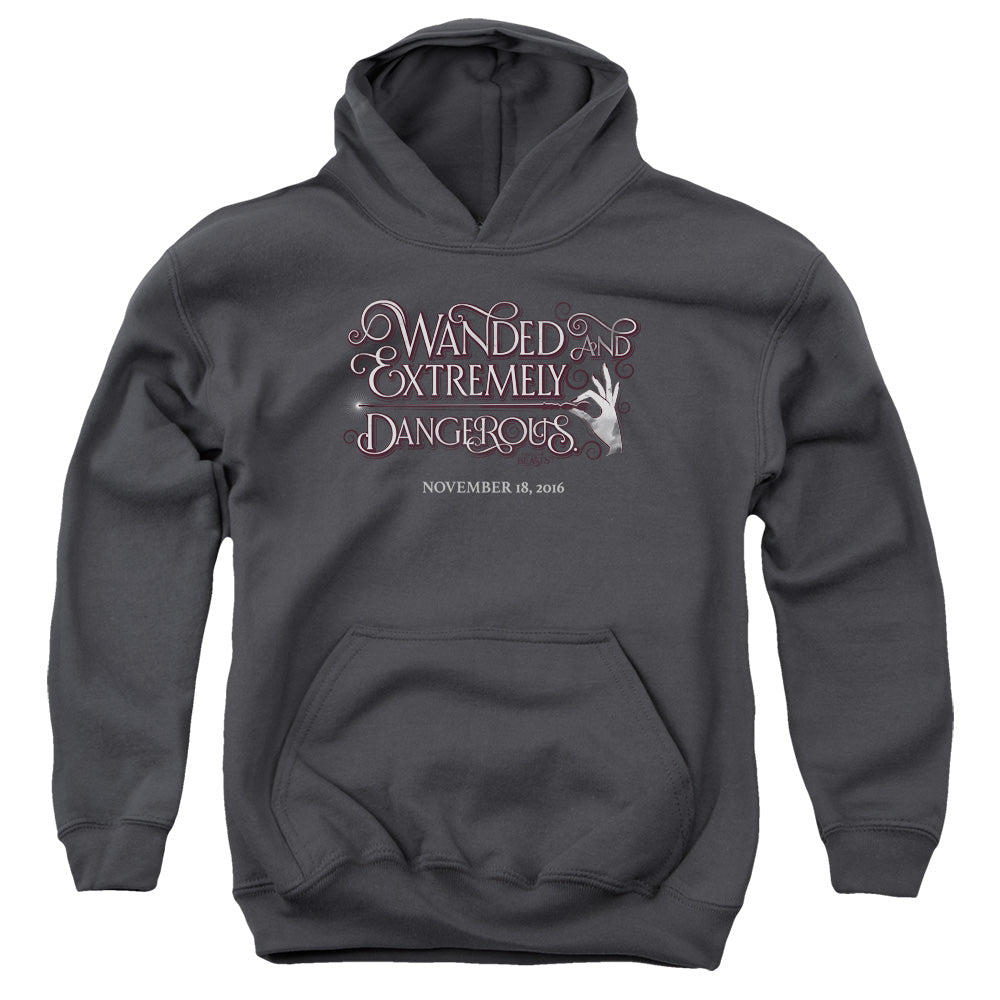 Fantastic Beasts Wanded Kids Youth Hoodie Charcoal Officially Licensed
