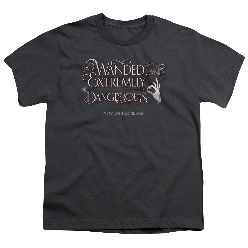 Fantastic Beasts Wanded Kids Youth T Shirt Charcoal Officially Licensed