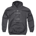 Fantastic Beasts Curse It Kids Youth Hoodie Charcoal Officially Licensed