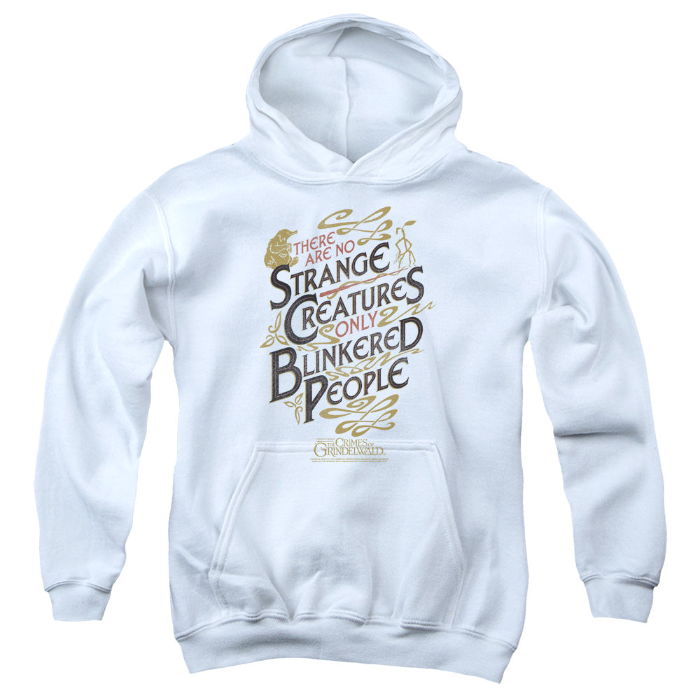 Fantastic Beasts 2 Blinkered People Kids Youth Hoodie White Officially Licensed