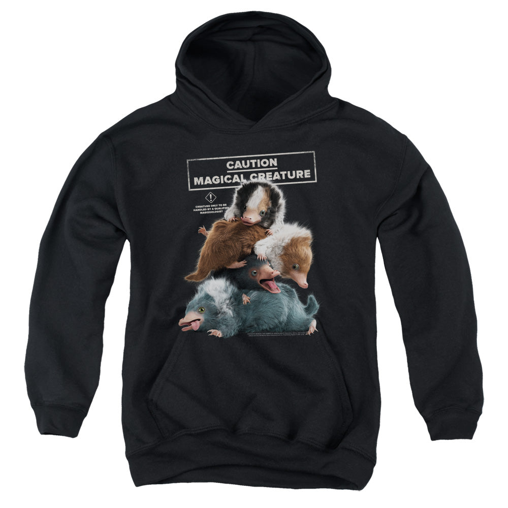 Fantastic Beasts 2 Cuddle Puddle Kids Youth Hoodie Black Officially Licensed