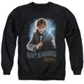 Fantastic Beasts 2 Scamander Monogram Mens Crewneck Sweatshirt Black