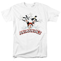 Animaniacs Animaniacs Trio Mens T Shirt White Officially Licensed