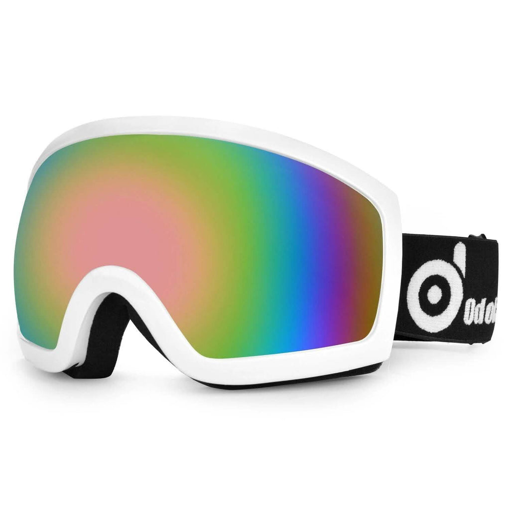 Adult Winter Ski Goggles Double Lens Eyewear Sunglasses