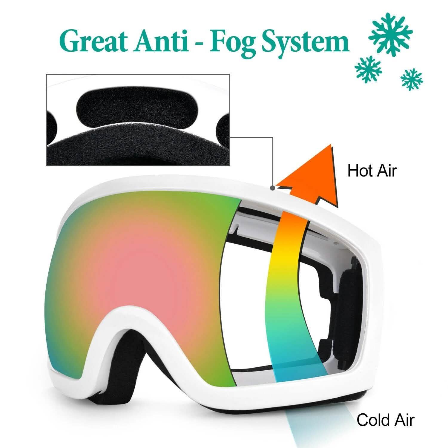 Adult Winter Ski Goggles Double Lens Eyewear Sunglasses