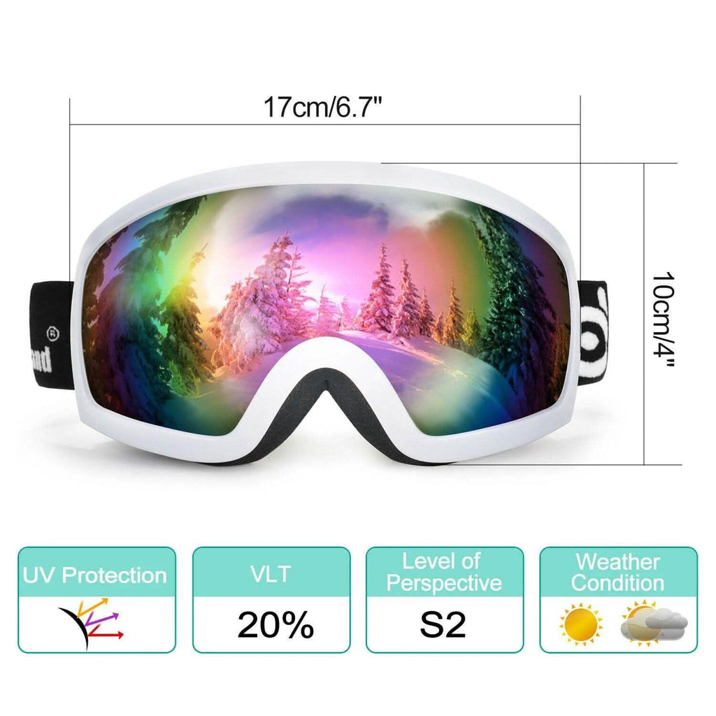 Adult Winter Ski Goggles Double Lens Eyewear Sunglasses