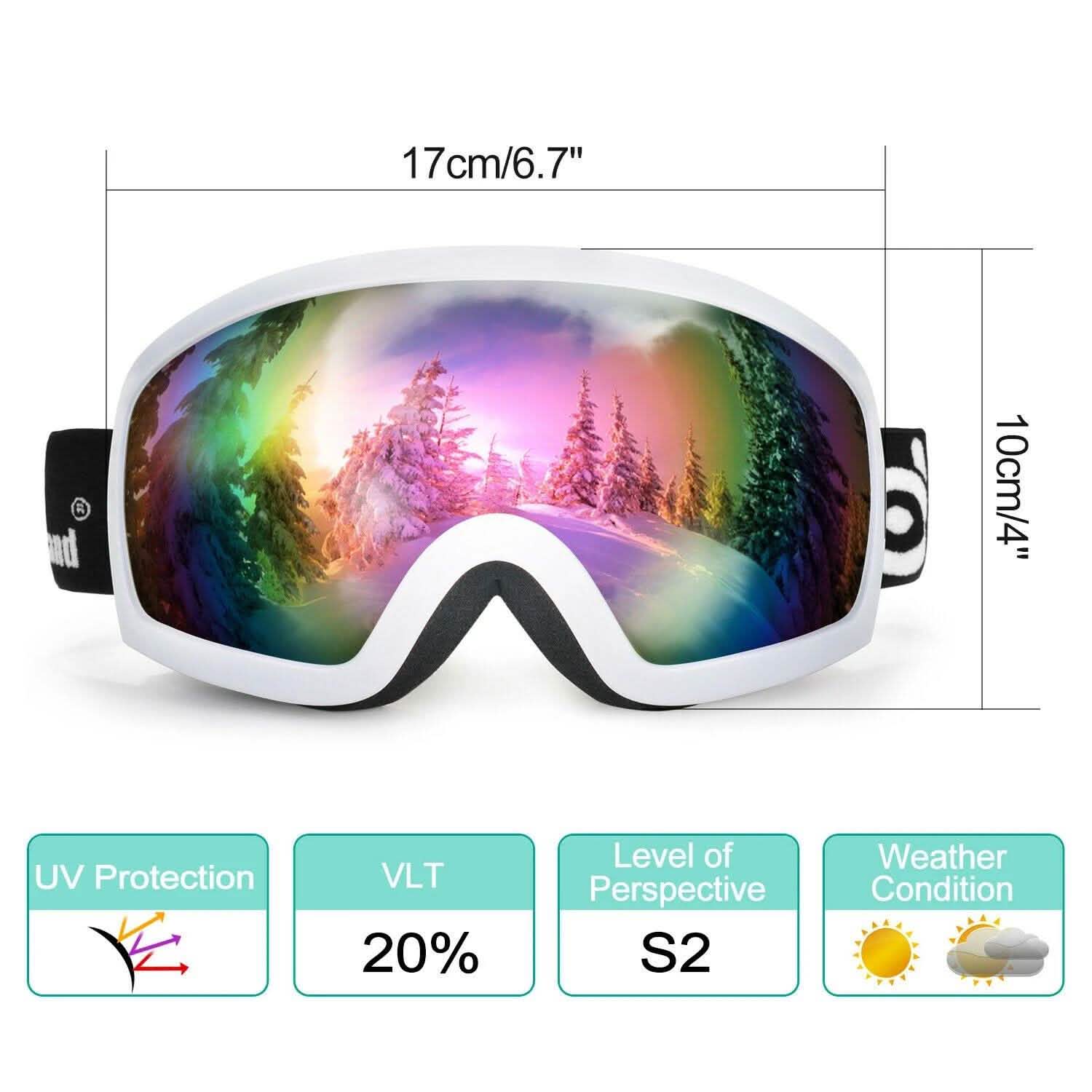 Adult Winter Ski Goggles Double Lens Eyewear Sunglasses