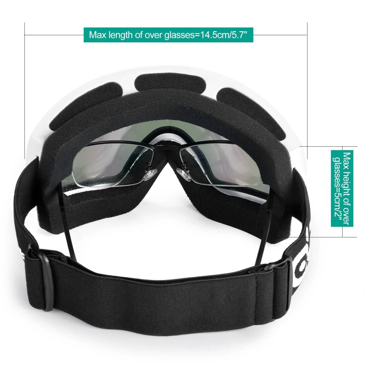 Adult Winter Ski Goggles Double Lens Eyewear Sunglasses