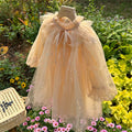 Girls Temperament Casual Mesh Lantern Sleeve Princess Dress