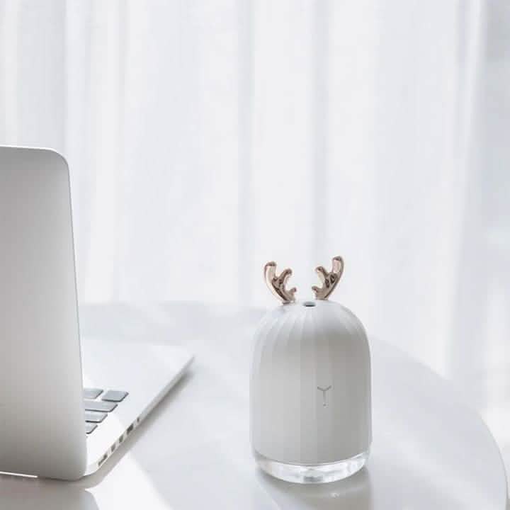 Air Humidifier Essential Oils Diffuser for Aromatherapy