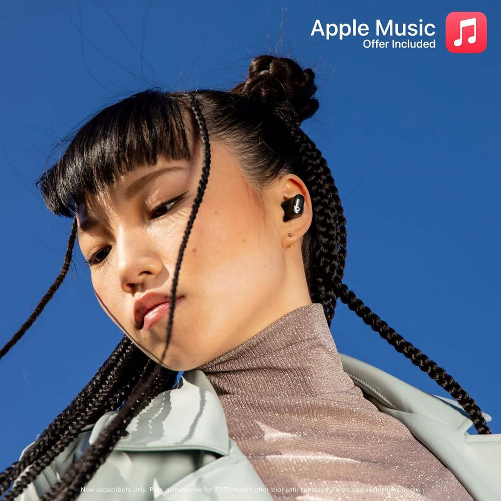 Beats True Wireless Noise Cancelling Earbuds