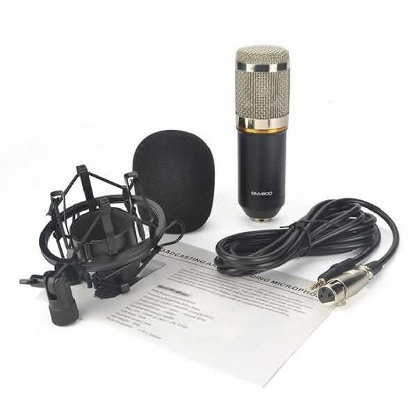 BM800 Professional Condenser Microphone
