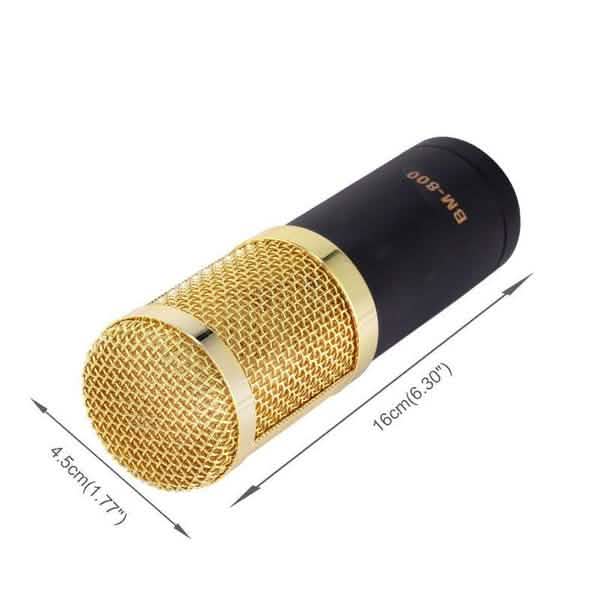 BM800 Professional Condenser Microphone