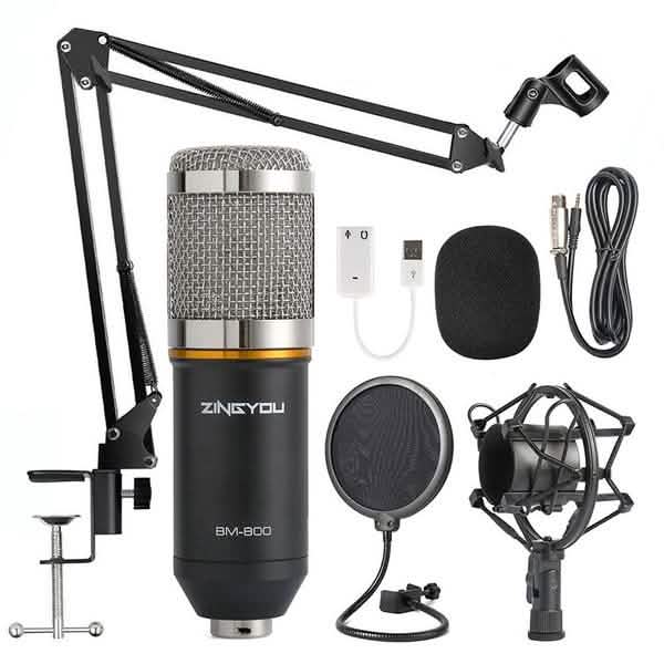 BM800 Professional Condenser Microphone
