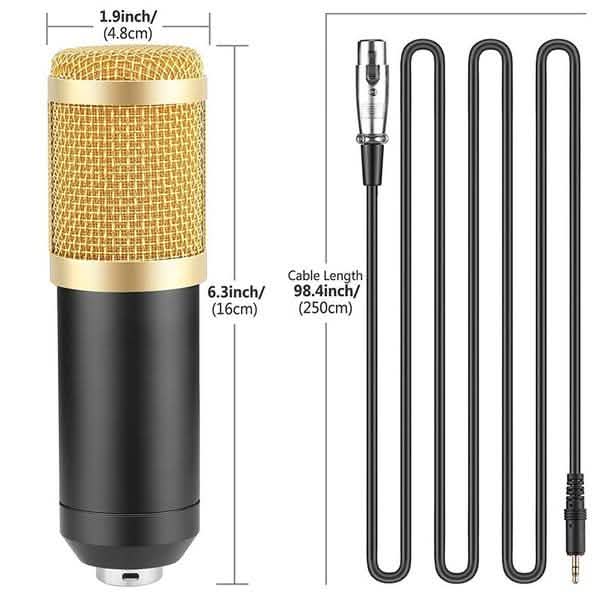 BM800 Professional Condenser Microphone