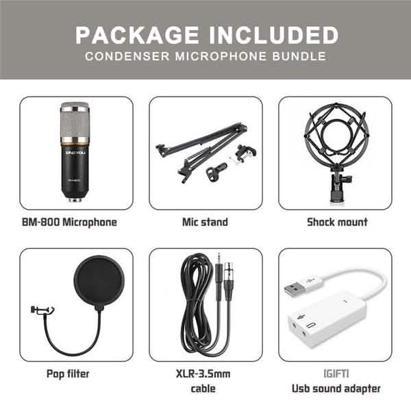 BM800 Professional Condenser Microphone