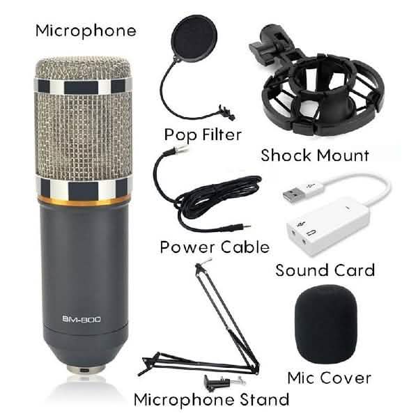 BM800 Professional Condenser Microphone