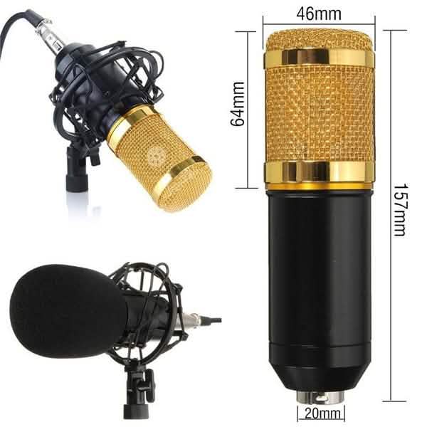 BM800 Professional Condenser Microphone