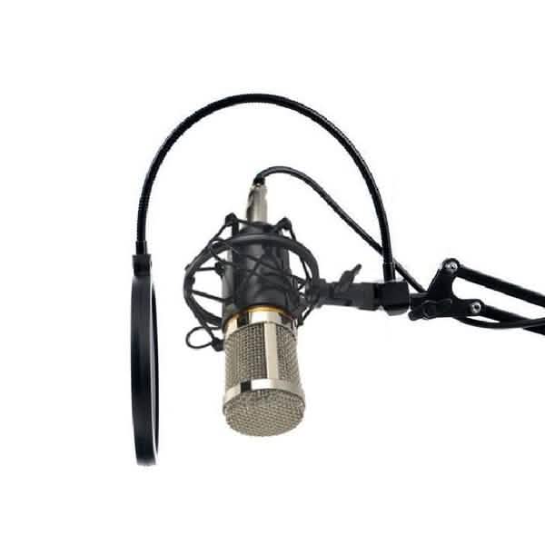 BM800 Professional Condenser Microphone