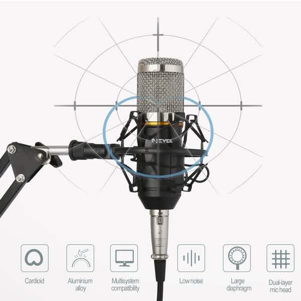 BM800 Professional Condenser Microphone