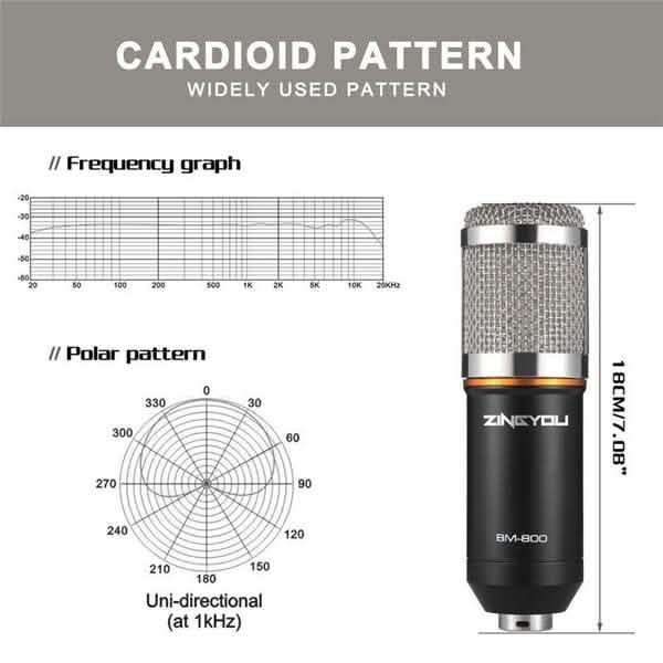 BM800 Professional Condenser Microphone