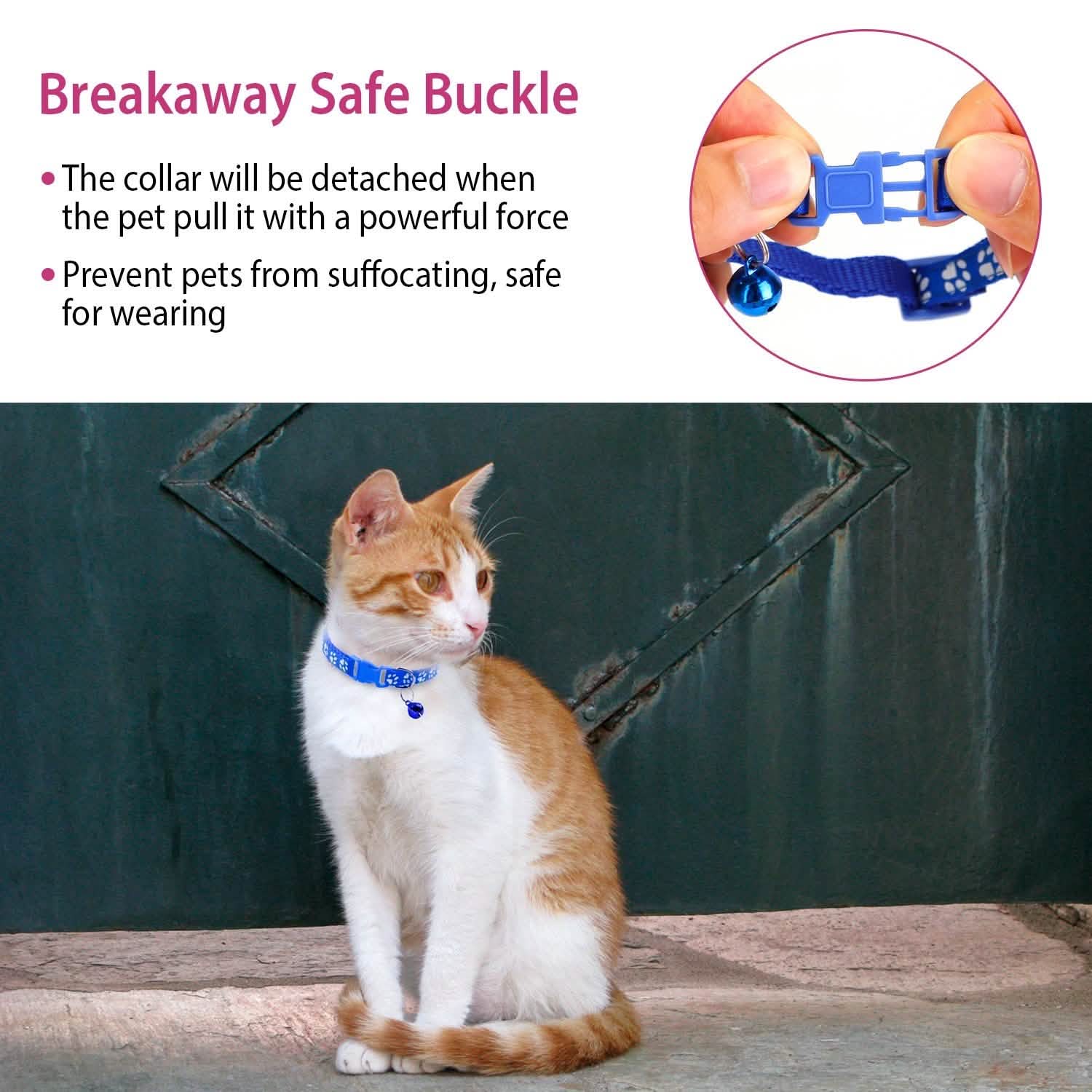 Ca2-Pack: Adjustable Kitten Collar with Bell Name Tag