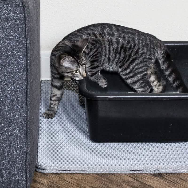 Cat and Rabbit Litter Trap Mat