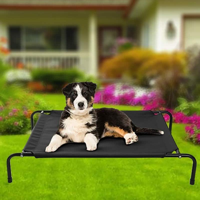 Cats and Dogs Elevated Pet Bed