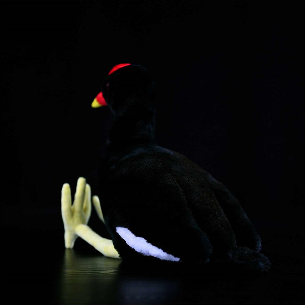 Black Water Chicken Plush Toy Red Bone Top