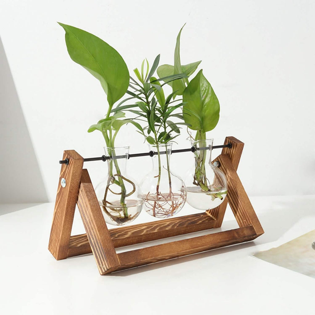 Desktop Glass Bulb Planter