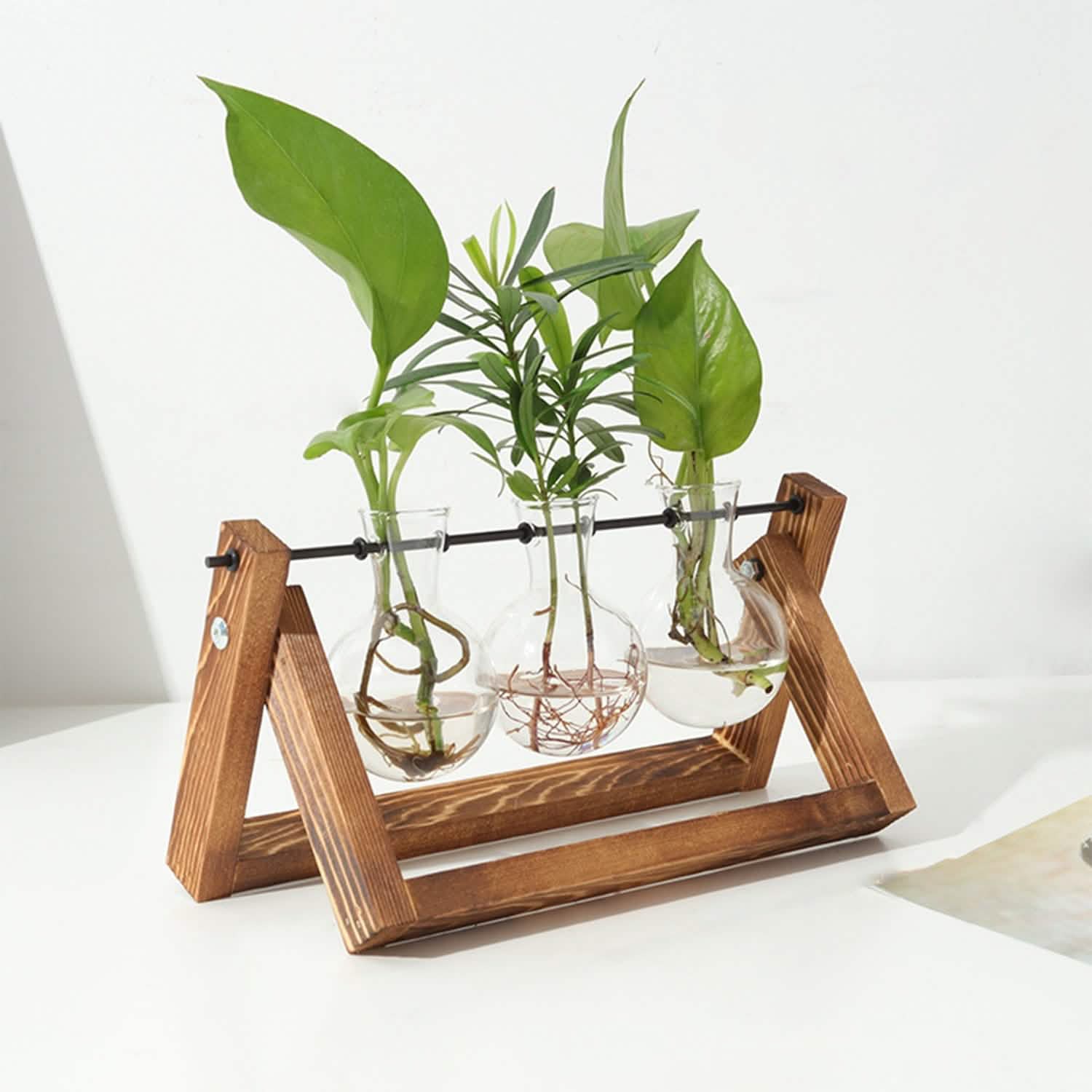 Desktop Glass Bulb Planter
